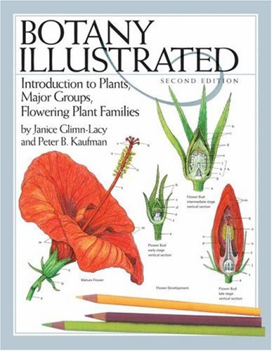 Botany Illustrated Introduction to Plants, Major Groups, Flowering Plant Families 2nd 2006 (Revised) 9780387288703 Front Cover