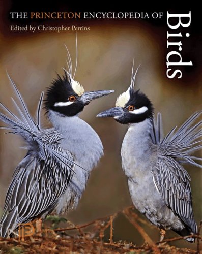 Princeton Encyclopedia of Birds   2009 9780691140704 Front Cover
