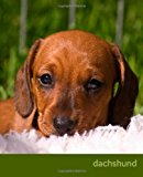 Dachshund A Gift Journal for People Who Love Dogs: Dachshund Puppy Edition N/A 9781494452704 Front Cover