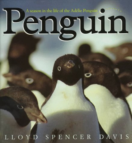 Penguin A Season in the Life of the Adelie Penguin  1994 9780152000707 Front Cover