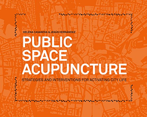 Public Space Acupuncture   2013 9780989331708 Front Cover