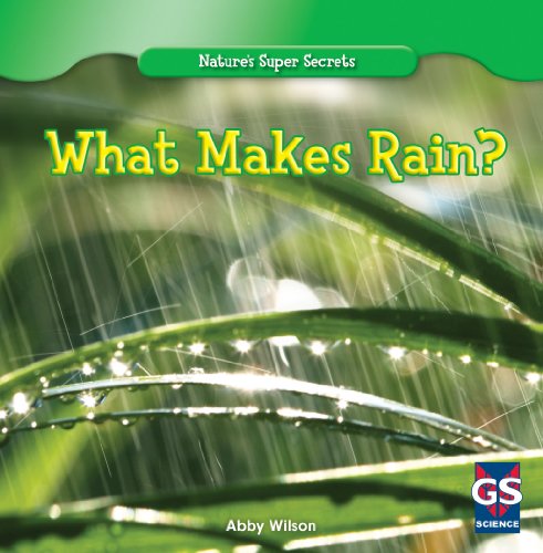 What Makes Rain?:   2013 9781433981708 Front Cover