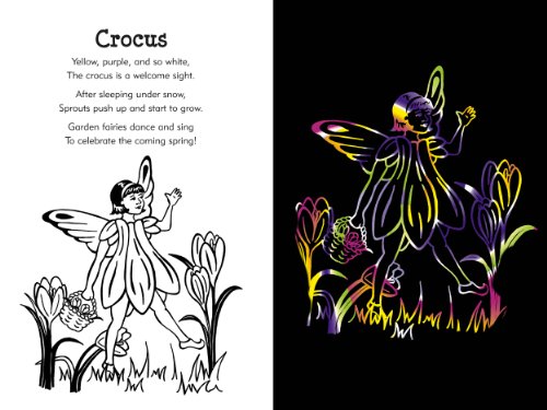 Garden Fairies : Scratch and Sketch: an Art Activity Book  2007 9781593598709 Front Cover