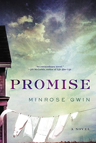 Promise A Novel  2018 9780062471710 Front Cover