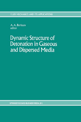 Dynamic Structure of Detonation in Gaseous and Dispersed Media   1991 9789401055710 Front Cover