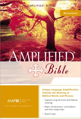 Amplified Bible   1987 9780310951711 Front Cover