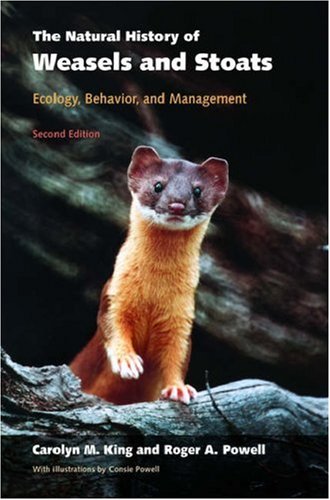 Natural History of Weasels and Stoats Ecology, Behavior, and Management 2nd 2006 (Revised) 9780195322712 Front Cover