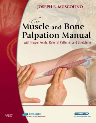 Muscle and Bone Palpation Manual with Trigger Points, Referral Patterns and Stretching   2009 9780323051712 Front Cover