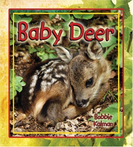 Baby Deer   2008 9780778739715 Front Cover