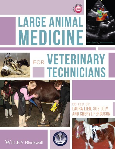 Large Animal Medicine for Veterinary Technicians   2014 9781118346716 Front Cover