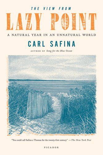 View from Lazy Point A Natural Year in an Unnatural World  2012 9781250002716 Front Cover