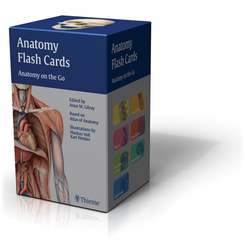 Anatomy Flash Cards Anatomy on the Go  2008 9781604060720 Front Cover