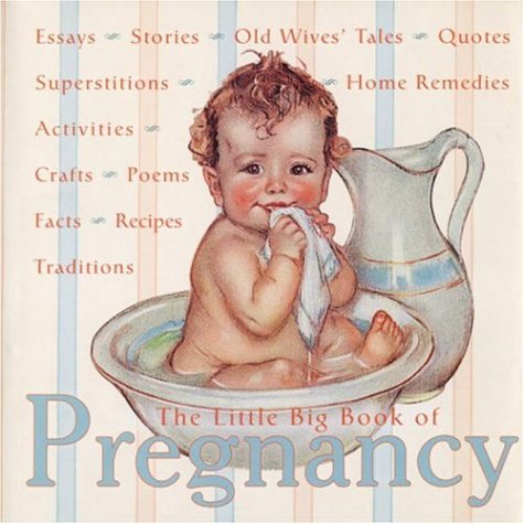 Little Big Book of Pregnancy   2002 9780941807722 Front Cover