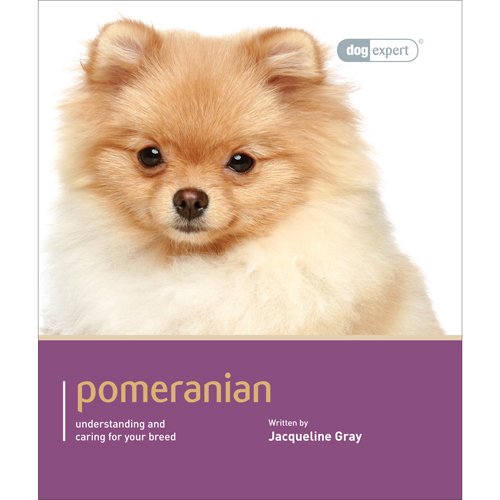 Pomeranian Understanding and Caring for Your Dog  2013 9781906305727 Front Cover
