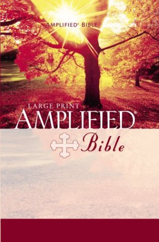 Amplified Bible   1987 (Large Type) 9780310951728 Front Cover