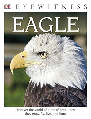 Eyewitness Eagle and Birds of Prey Discover the World of Birds of Prey--How They Grow, Fly, Live, and Hunt  2016 9781465451729 Front Cover