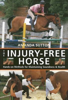 Injury Free Horse Hands-On Methods for Maintaining Soundness and Health 2nd 2006 9780715323731 Front Cover