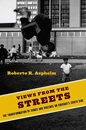 Views from the Streets The Transformation of Gangs and Violence on Chicago's South Side  2019 9780231187732 Front Cover