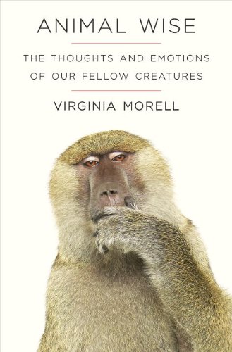 Animal Wise: The Thoughts and Emotions of Our Fellow Creatures  2013 9780307970732 Front Cover