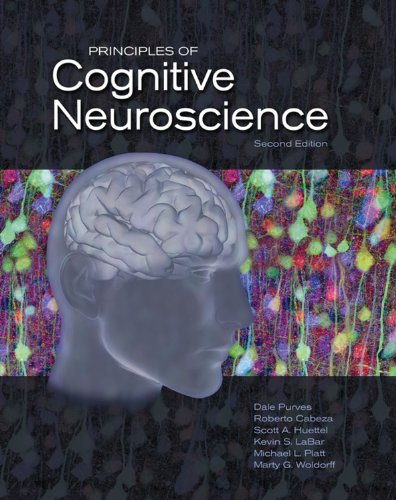 Principles of Cognitive Neuroscience:   2012 9780878935734 Front Cover