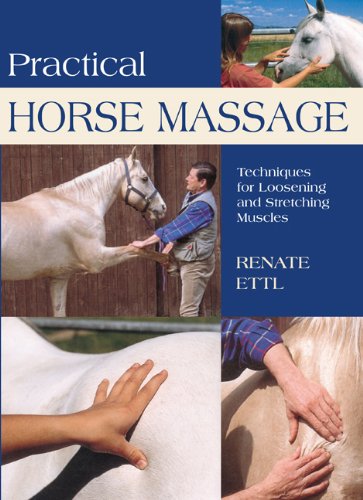 Practical Horse Massage Techniques for Loosening and Stretching Muscles N/A 9781592287734 Front Cover