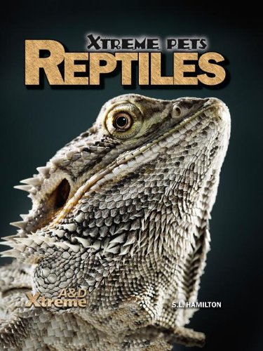 Reptiles:   2013 9781617839740 Front Cover