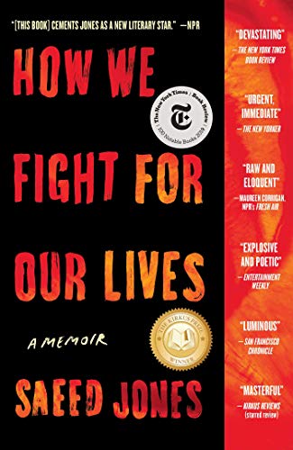 How We Fight for Our Lives A Memoir  2019 9781501132742 Front Cover