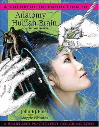 Colorful Introduction to the Anatomy of the Human Brain A Brain and Psychology Coloring Book 2nd 2008 9780205548743 Front Cover