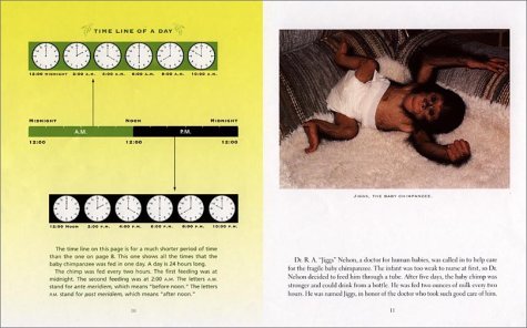 Chimp Math Learning about Time from a Baby Chimpanzee  2001 (Revised) 9780805066746 Front Cover