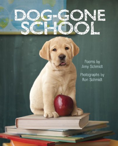Dog-Gone School   2013 9780375869747 Front Cover