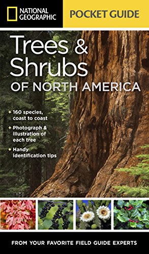 National Geographic Pocket Guide to Trees and Shrubs of North America   2015 9781426214752 Front Cover