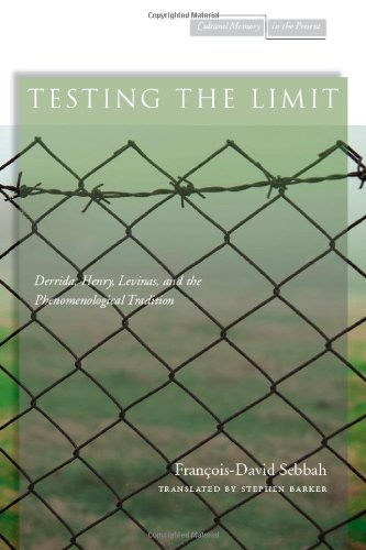 Testing the Limit Derrida, Henry, Levinas, and the Phenomenological Tradition  2012 9780804772754 Front Cover