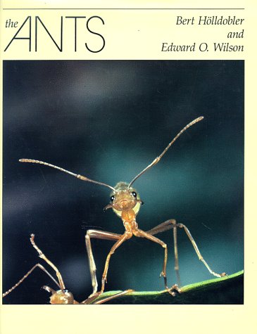 Ants   1994 9780674040755 Front Cover