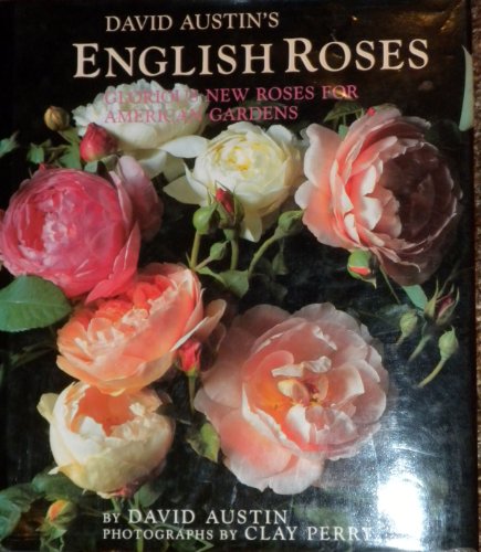 David Austin's English Roses Glorious New Roses for American Gardens  1993 9780316059756 Front Cover