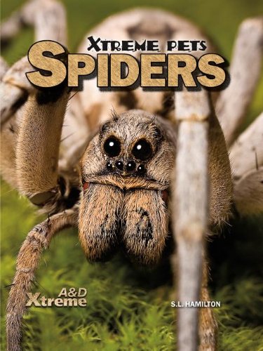 Spiders:   2013 9781617839757 Front Cover