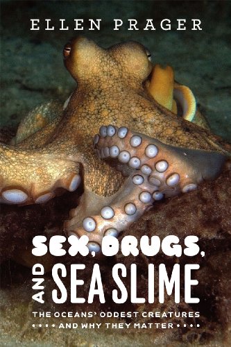 Sex, Drugs, and Sea Slime The Oceans' Oddest Creatures and Why They Matter  2012 9780226678764 Front Cover