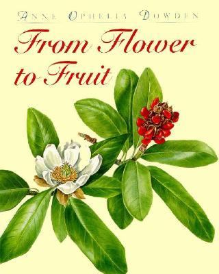 From Flower to Fruit   1994 9780395683767 Front Cover