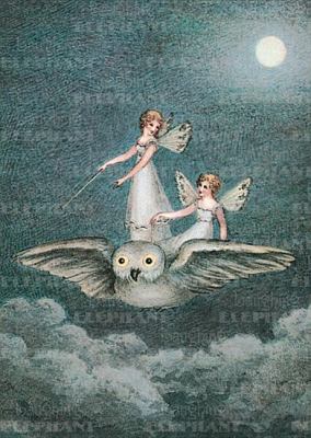 Fairies Riding Owl - Birthday Greeting Card  N/A 9781595834768 Front Cover