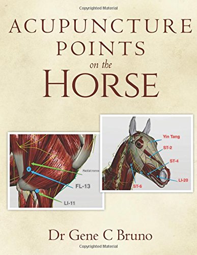 Acupuncture Points on the Horse  N/A 9781542468770 Front Cover