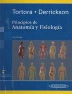 Principios De Anatomia Y Fisiologia/ Principles of Anatomy and Physiology:  2006 9789687988771 Front Cover