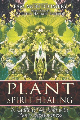 Plant Spirit Healing A Guide to Working with Plant Consciousness  2008 9781591430773 Front Cover