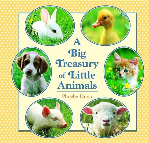 Big Treasury of Little Animals  N/A 9780375841774 Front Cover