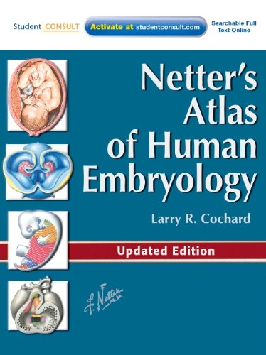 Netter's Atlas of Human Embryology Updated Edition  2012 9781455739776 Front Cover