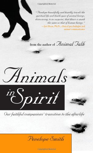 Animals in Spirit Our Faithful Companions' Transition to the Afterlife  2008 9781582701776 Front Cover
