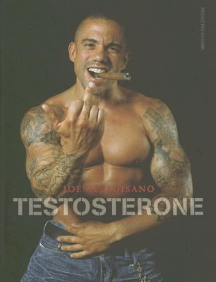 Testosterone   2006 9783861878780 Front Cover