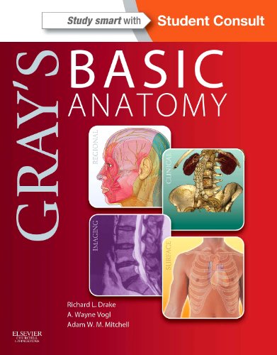 Gray's Basic Anatomy With STUDENT CONSULT Online Access  2013 9781455710782 Front Cover
