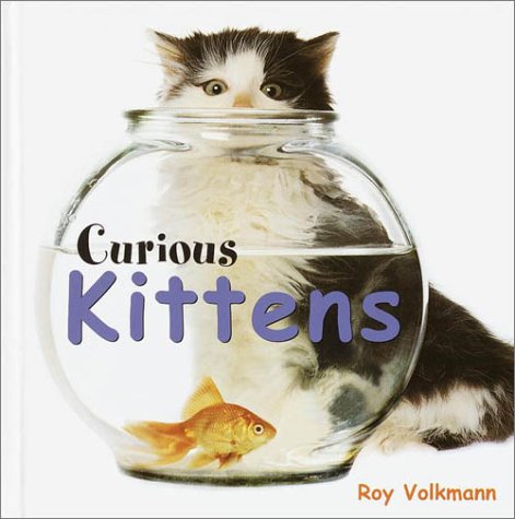 Curious Kittens   2001 9780385327787 Front Cover