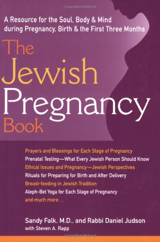 Jewish Pregnancy Book A Resource for the Soul, Body and Mind During Pregnancy, Birth and the First Three Months  2003 9781580231787 Front Cover