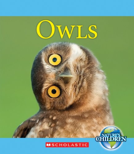 Owls:   2013 9780531209790 Front Cover
