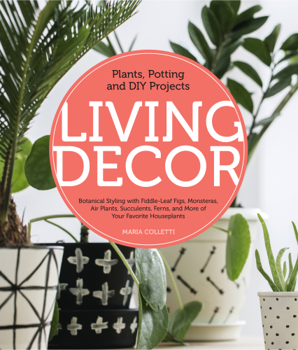Living Decor Plants, Potting and DIY Projects - Botanical Styling with Fiddle-Leaf Figs, Monsteras, Air Plants, Succulents, Ferns, and More of Your Favorite Houseplants  2019 9780760362792 Front Cover